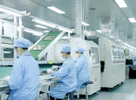 ���庸����